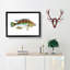 Goldfinny Fish by Edward Donovan - Framed Print-55608748-55608751