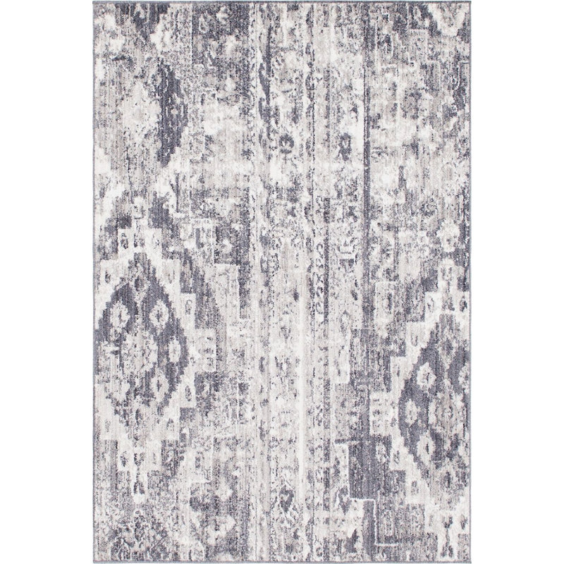 Tapis gris de style sud-ouest Mulvaney, Rectangle 4 pi x 6 pi