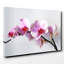 Flower Pink Orchid - Wrapped Canvas-19096187