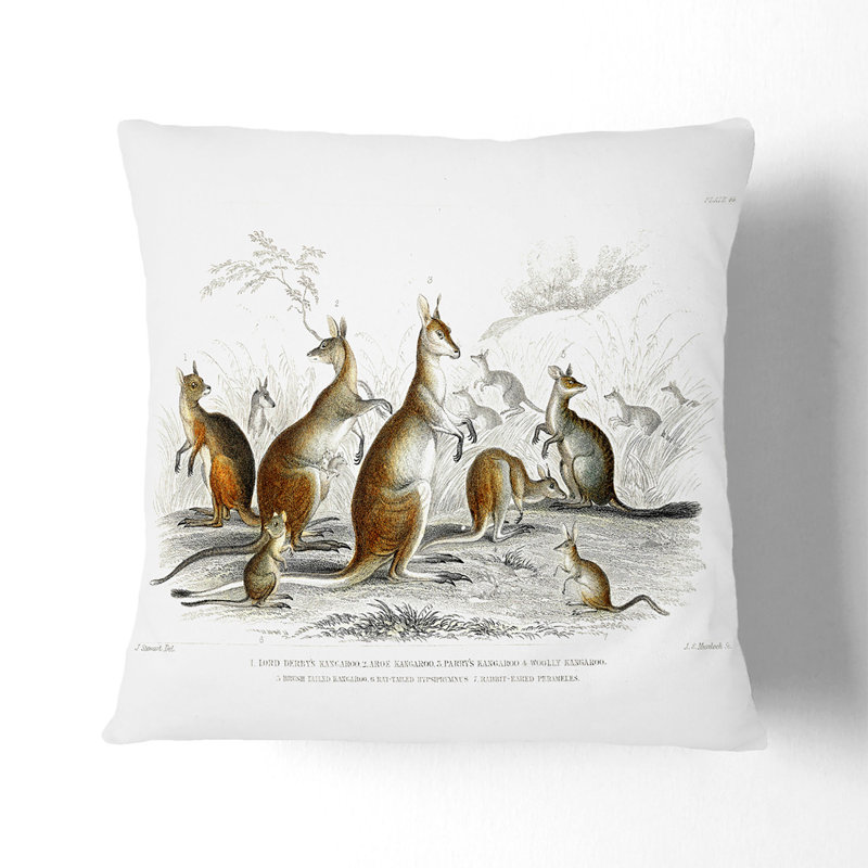 Kangaroos by Oliver Goldsmith Cushion with Filling, Black, 55cm H x 55cm W x 20cm D