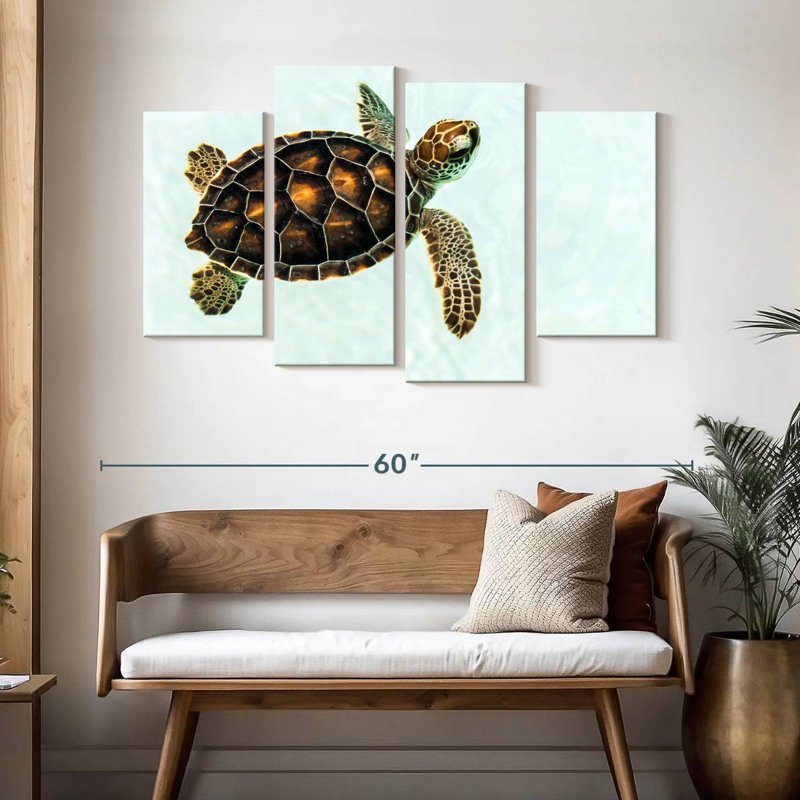 Baby Turtle