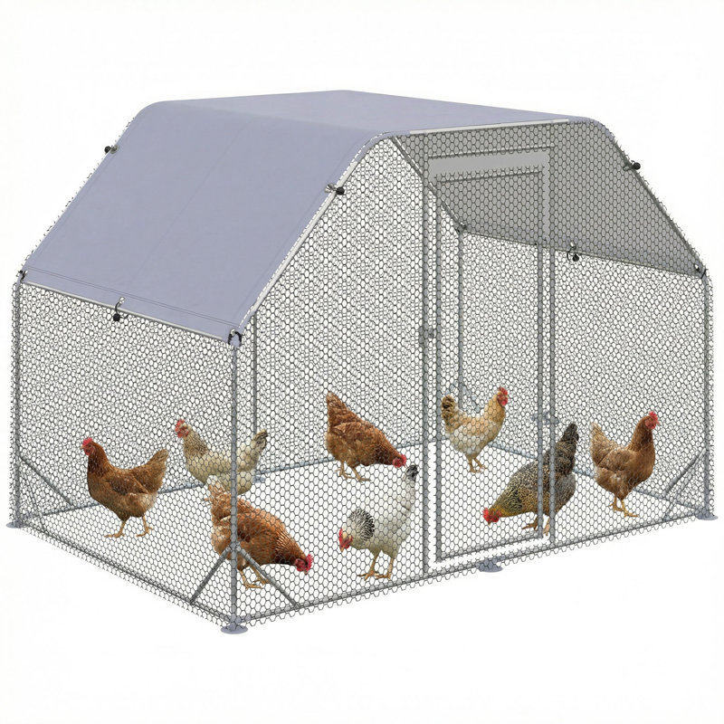 Kewaunee Walk in Chicken Run, H 76,8 po x l 110,4 po x P 74,4 po
