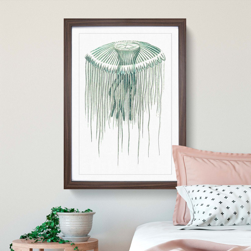 Green Jellyfish by George Shaw - Framed Print, Walnut Framed, 36cm H x 27cm W x 2cm D