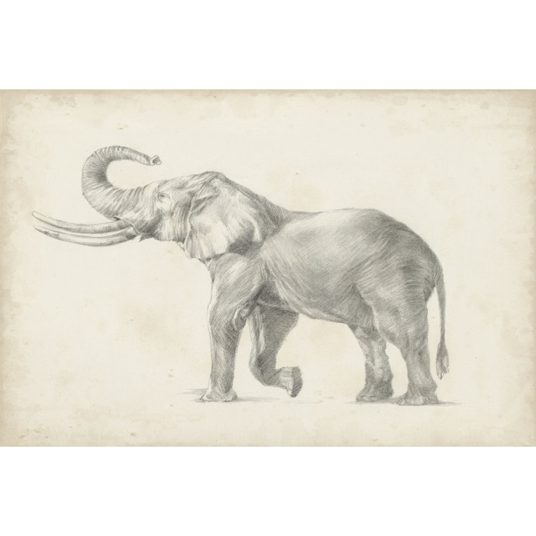 Leinwandbild Elephant Sketch I