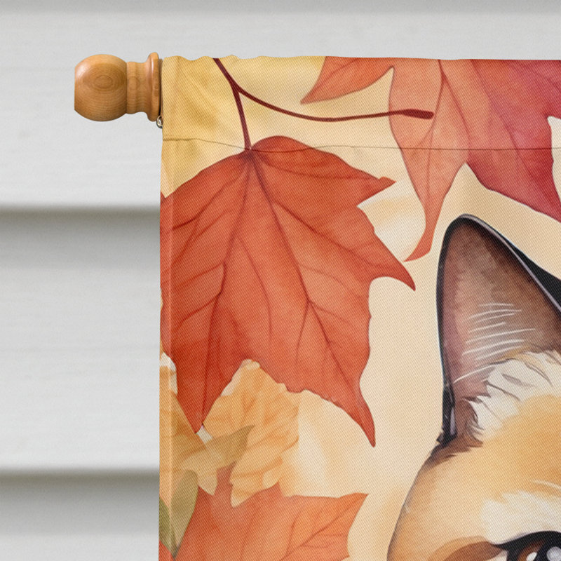 Chat en feuilles d'automne, Poil court exotique