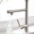 FLG Pull Down Kitchen Faucet-67104650