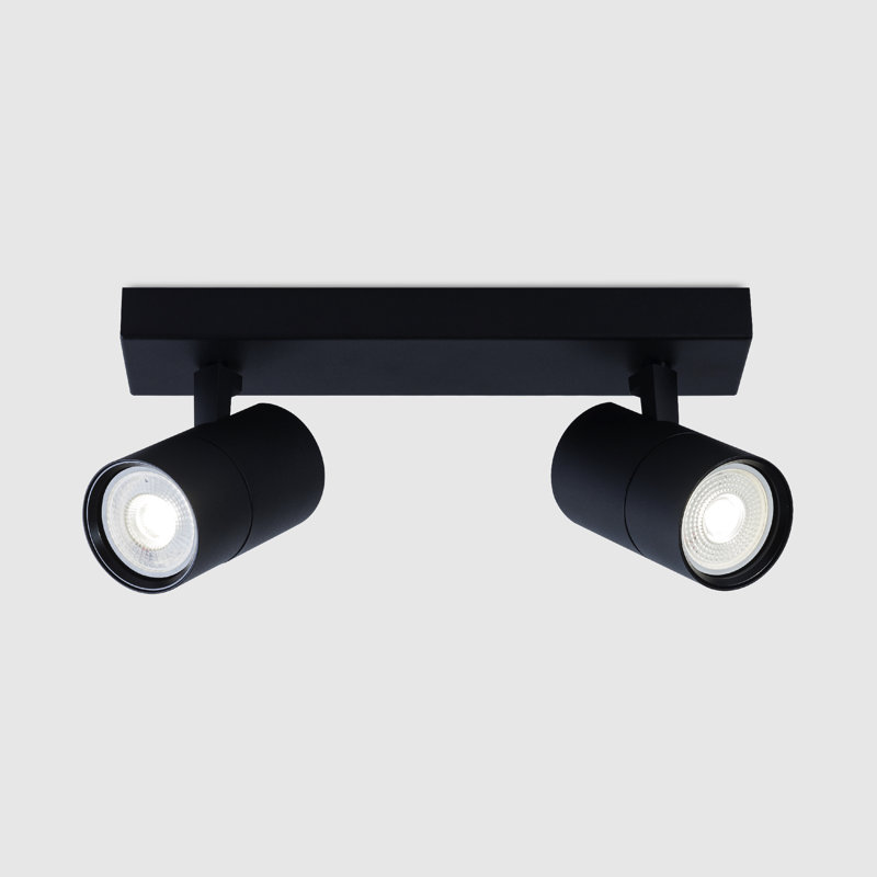 Avonleigh Spotlight, Black