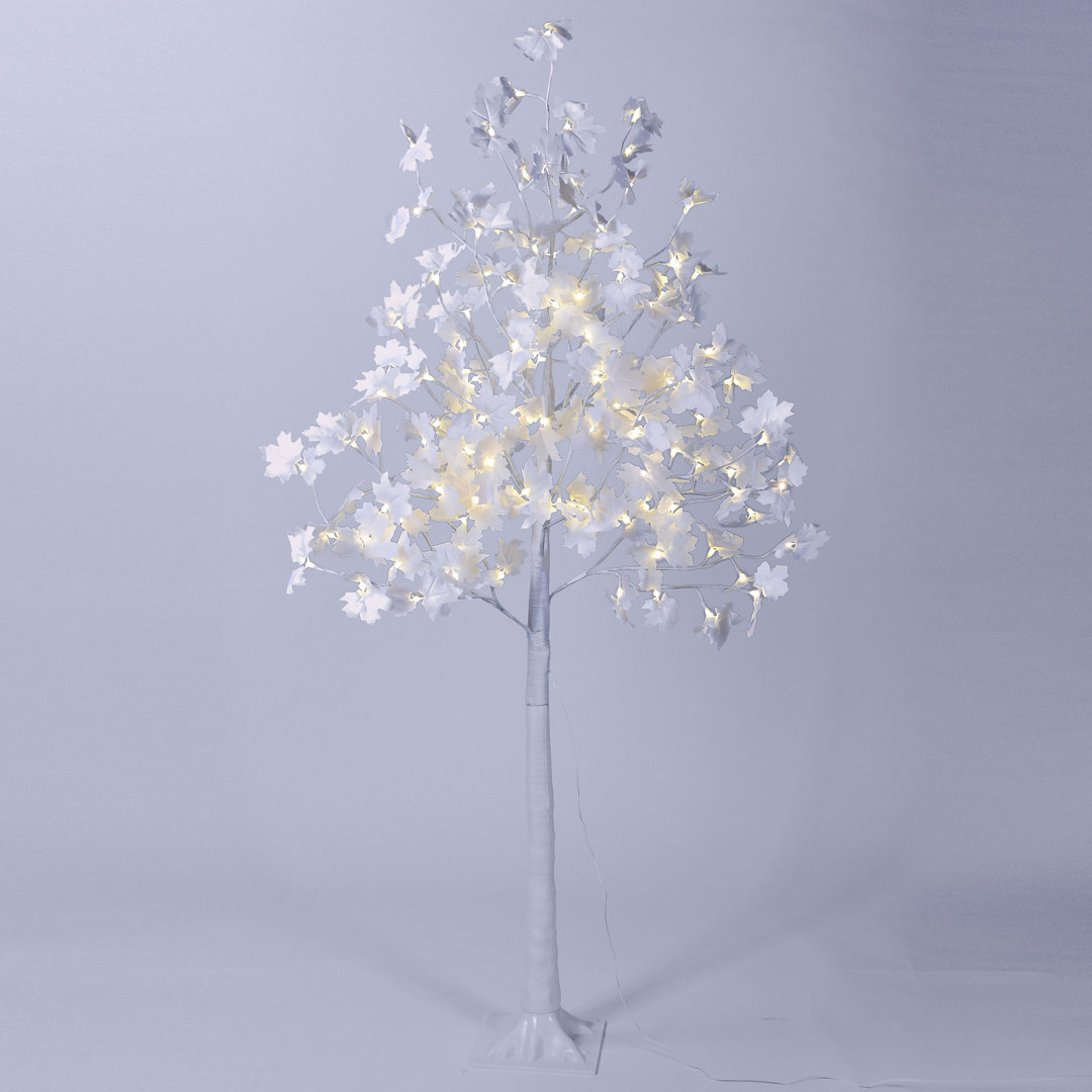 72'' Lighted Trees & Branches The Holiday Aisle®
