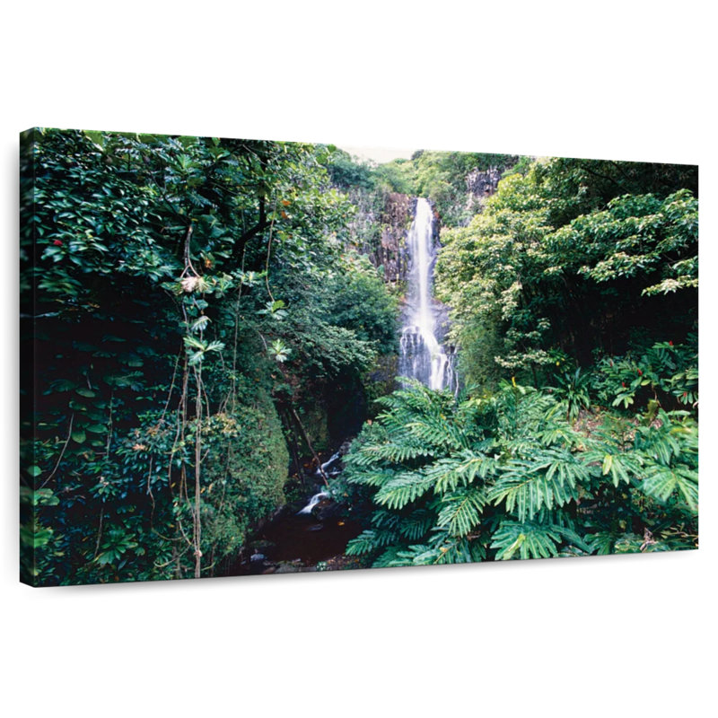 Kavia Wailua Falls sur Hana Hwy Maui, Hawaï, H 34 po x l 51 po
