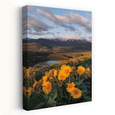 Art floral abstrait contemporain de Metway Valley Wildflowers V