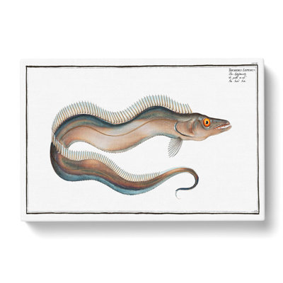 Sword-Fish by M.E. Bloch - Wrapped Canvas Print