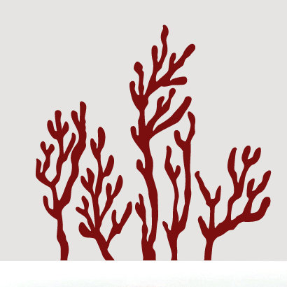 Décalcomanie murale corail, Canneberge