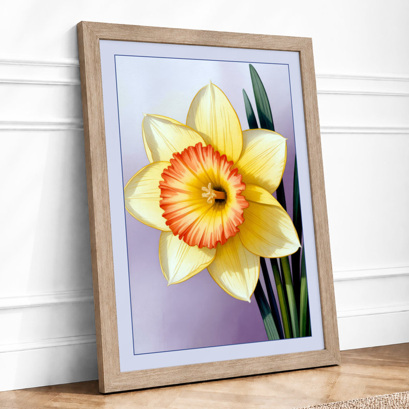Daffodil Study Botanical - Framed Print, A3 - 42.0 x 29.7 cm, Oak