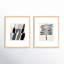 Flora 1&2 Print by Lee Lessem-2071769658-2071769659