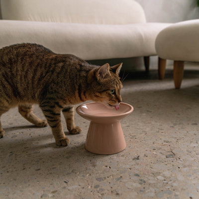 Dexypaws: bol en céramique à dessus plat pour chats - rose rosé - capacité de 7,5 oz, plat élégant pour animaux de compagnie, lavable au lave-vaisselle, résistant à l'eau et aux rayures