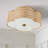 Alonza Flush Mount
