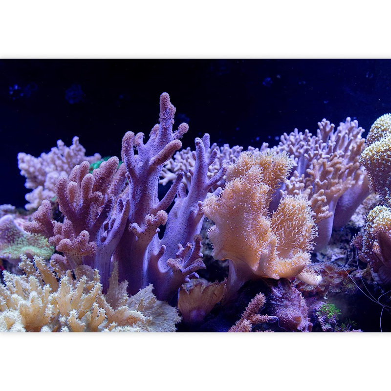 Nautical Ocean Peel & Stick Border, 66" L x 96" W