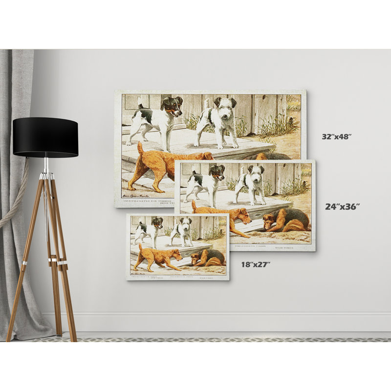 « canin sketch xxi », impression, H 18 po x l 27 po x P 1,5 po, Pas de tapis, Toile tendue