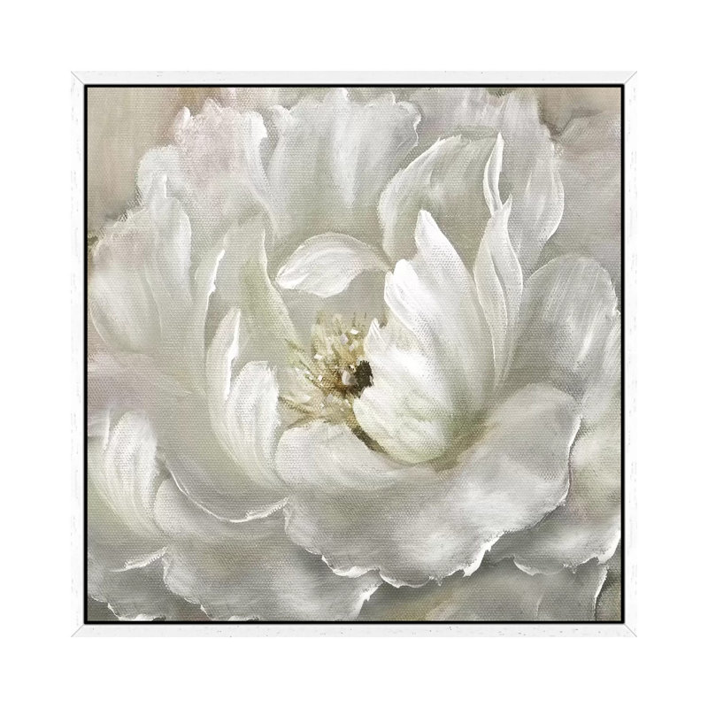 Perfect Peony by Nan - Painting on Canvas, 45.72 cm H x 45.72 cm W, White Framed Canvas