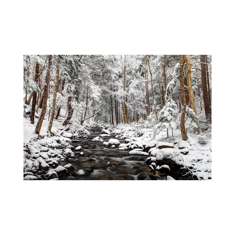 Stream In Winter, Nova Scotia, Canada - Horizontal by Scott Leslie - Wrapped Canvas Print, 152.5 cm H x 101.5 cm W