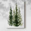 Simple Evergreen II sur toile-67648836