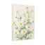 Plantes et fleurs fleurs de marguerite sur fond crème-1345749065