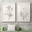 «Neutral Botanical Study VIIP», reproduction d'art encadrée - prête à être accrochée-558944093-558944176-559107761