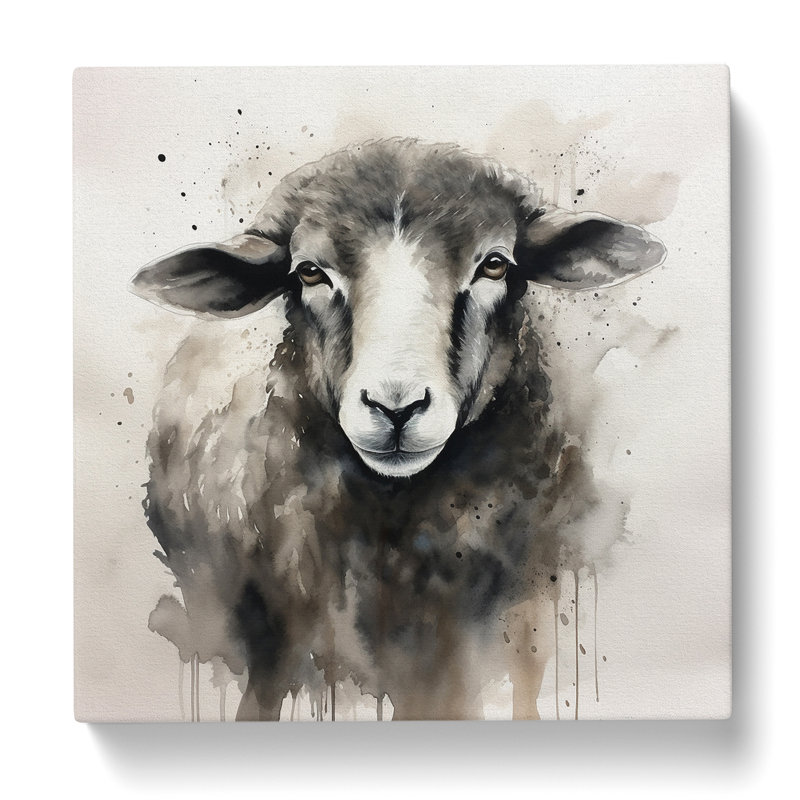 Sheep Ink Wash - Wrapped Canvas
