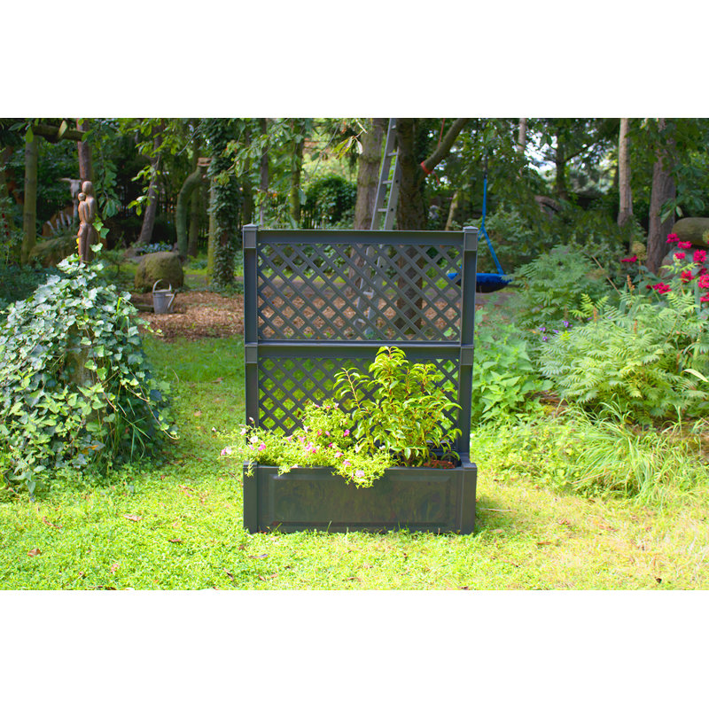 Planter Box, Anthracite