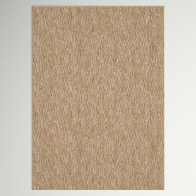 Tapis intérieur / extérieur brun Iyana