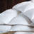 Cuddledown Damask Stripe 700FP Down Comforter-116385951-120496494