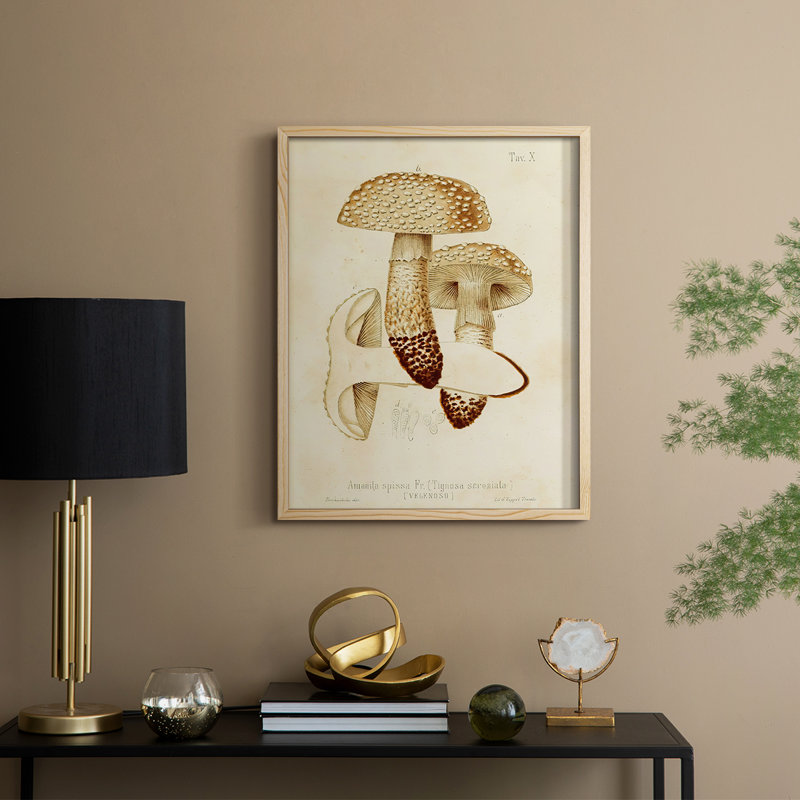 Mushroom Varieties VIII Framed Print - Solid Wood, 15" H x 12" W