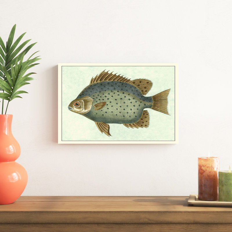 " Butterfly Fish II ", 12" H x 18" W x 1.25" D