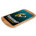 Jacksonville Jaguars