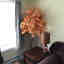Customer photo 2 of 3