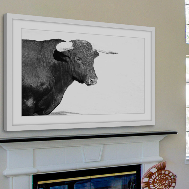 « corned animaux »-cadre photo, impression sur papier, H 20 po x l 30 po x P 1,5 po, Cadre blanc