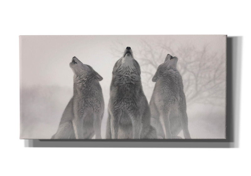 «Three Wolves Of The Mist» par Gordon Semmens, art mural sur toile, H 20 po x l 40 po x P 1,5 po