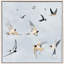 Swifts Print Nai Paragon