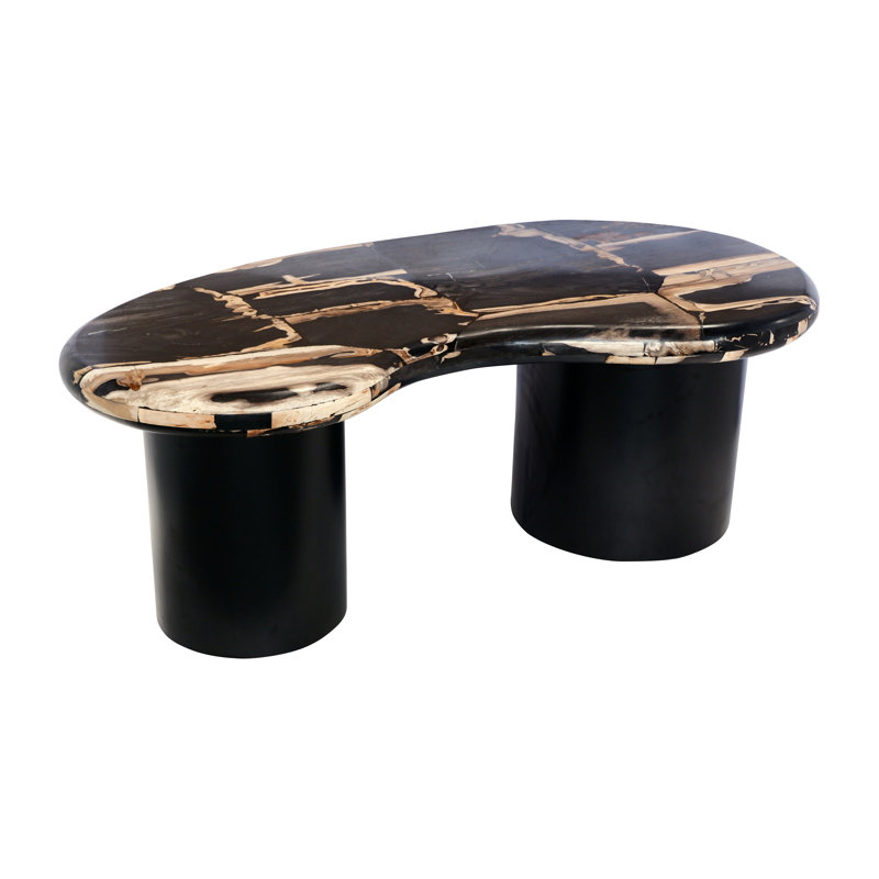 Table basse en bois pétrifié avec base en bois noir, table de salon moderne, 51 po
