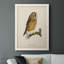 Maddock French Owls II-88378309-88378310
