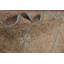 Tapis traditionnel 8 x 11