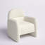 Fauteuil d'appoint Anary Boucle