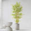 Faux Bonsai Plant in Freestanding-2141040006