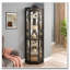 Vitrine lumineuse en verre-543672221-543672220