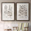 Sépia Besler Botanicals III - reproduction encadrée de qualité supérieure - prête à être accrochée-1132793573-1132794137