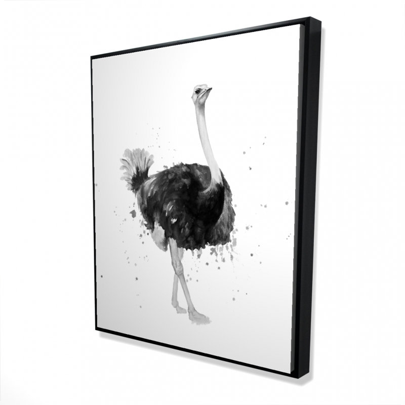" Proud Ostrich "