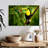 Brampt Toucan On A Tree-108913477