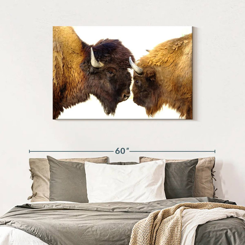 Brampt Bisons I, 30" H x 45" W