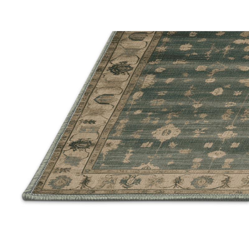 Machine Washable Overdyed Green Area Rug, Rectangle 5' x 7'