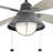 Seaside 53.5'' Ceiling Fan with LED Lights-1696515668
